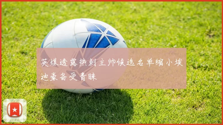 英媒透露热刺主帅候选名单缩小埃迪豪备受青睐